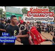 Download Lagu Bantengan Kalapan